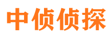 淅川市侦探公司